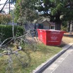 6 cubic metre skip bin