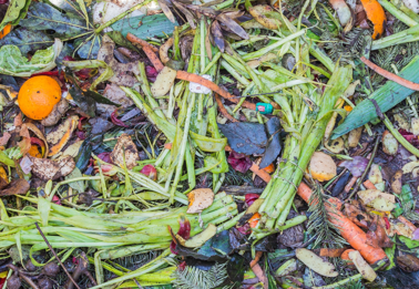 Mixed Building Waste Food